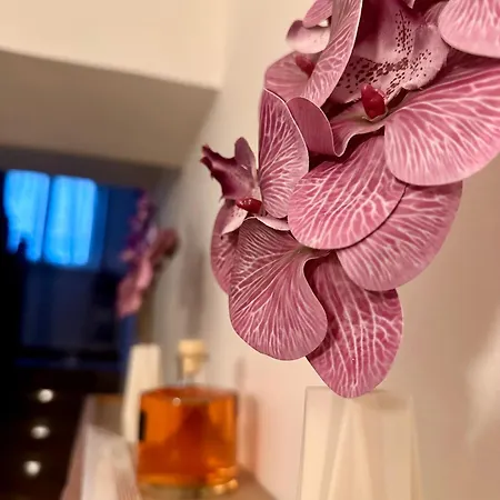 La Dimora Dei Nonni Gasthuis *