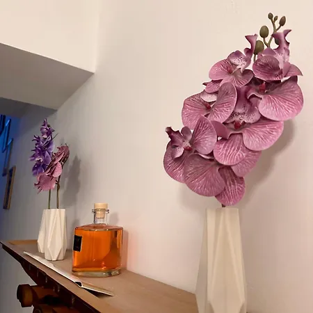 Gasthuis La Dimora Dei Nonni *