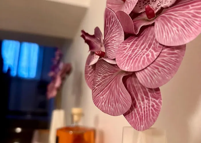 La Dimora Dei Nonni ゲストハウス *