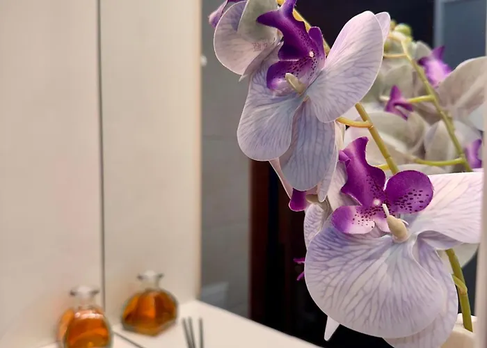 La Dimora Dei Nonni ゲストハウス カーシャ