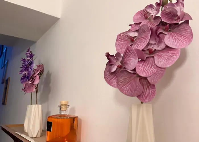 ゲストハウス La Dimora Dei Nonni *