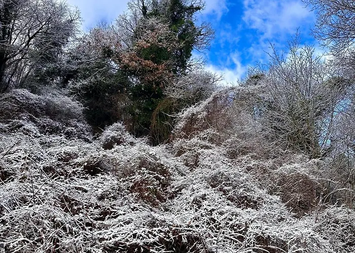 La Dimora Dei Nonni ゲストハウス カーシャ